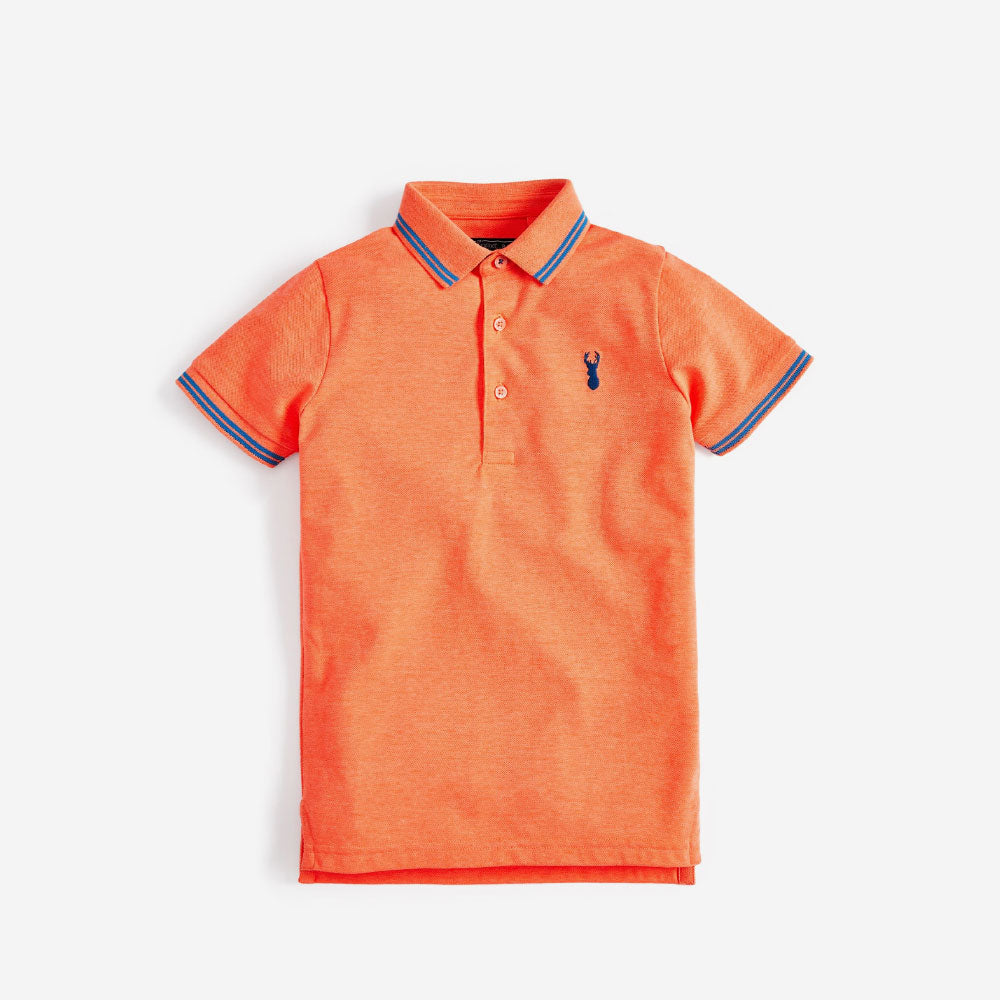 Polor Shirt